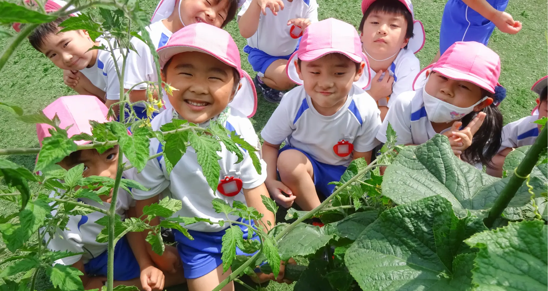 みどりかわい幼稚園